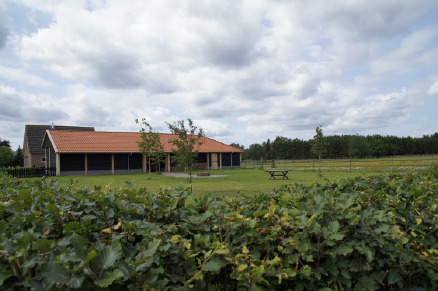 Recreatiepark Het Eperwoud met paard VMP029